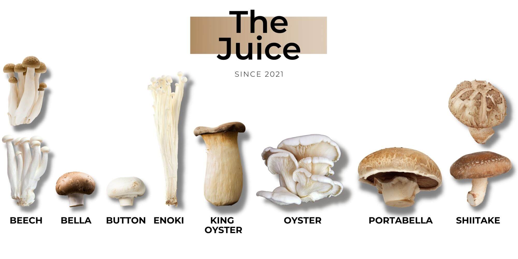 King Oyster Mushroom and Shimeji Mushroom and Shitake Mushroom O