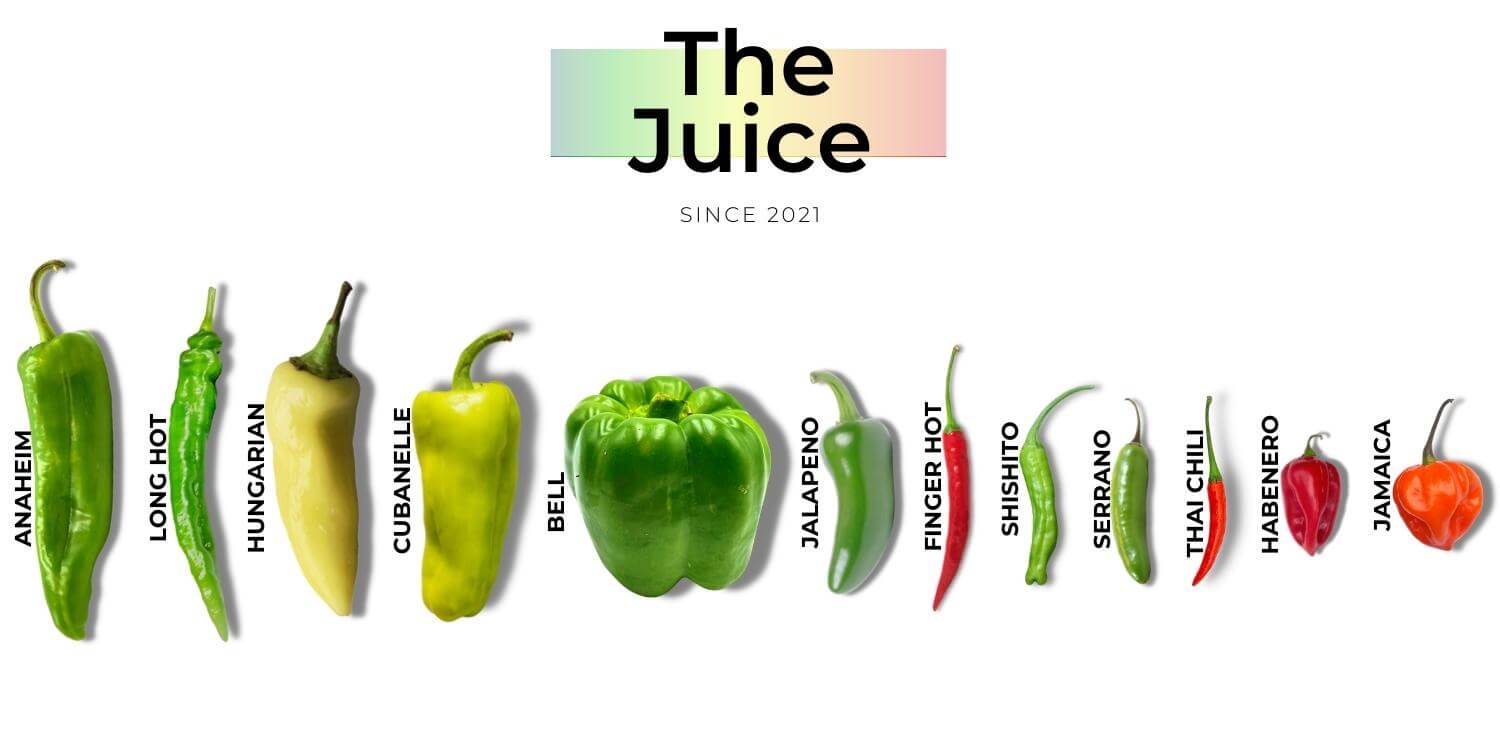 Twelve Types of Peppers and How to Use Them | Purvey’d