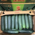 Wholesale LARGE MEXICAN CUCUMBER 5 REYES Bulk Produce Fresh Fruits and Vegetables