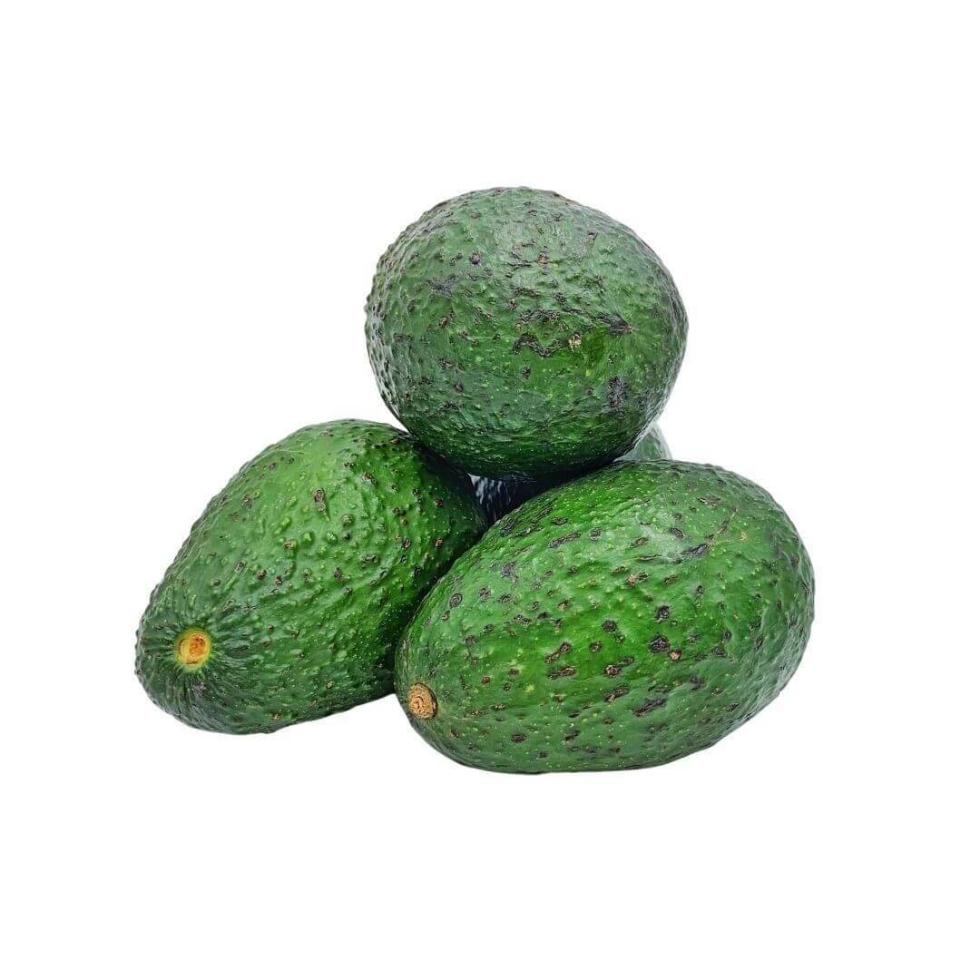 SHOP WHOLESALE AVOCADO #40 | Purvey'd