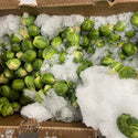 Wholesale BRUSSEL SPROUTS* Bulk Produce Fresh Fruits and Vegetables