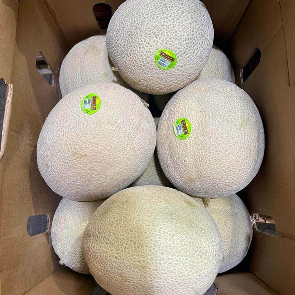 Wholesale CANTALOUPE* Bulk Produce Fresh Fruits and Vegetables