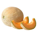 Wholesale CANTALOUPE* Bulk Produce Fresh Fruits and Vegetables