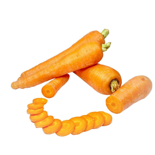 Wholesale CARROT (SAMPLE) Bulk Produce Fresh Fruits and Vegetables