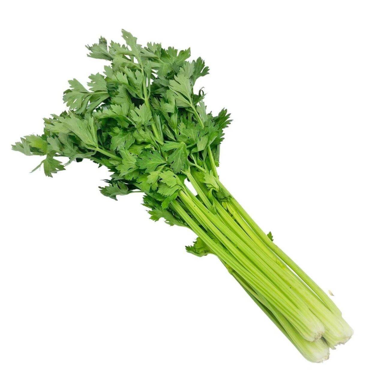 SHOP WHOLESALE CHINESE CELERY Purvey'd
