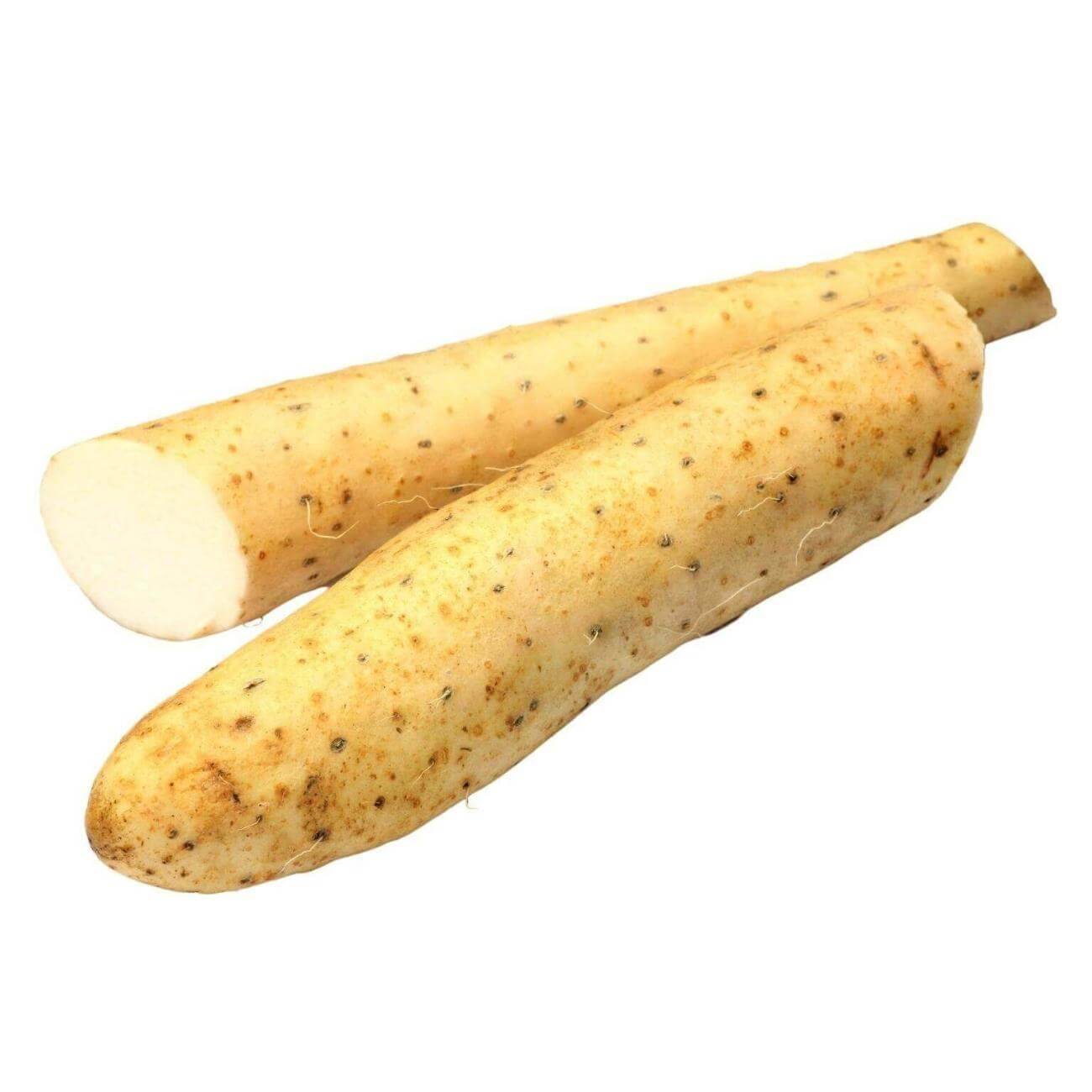 【YAM】 SHOP WHOLESALE CHINESE YAM | Purvey'd