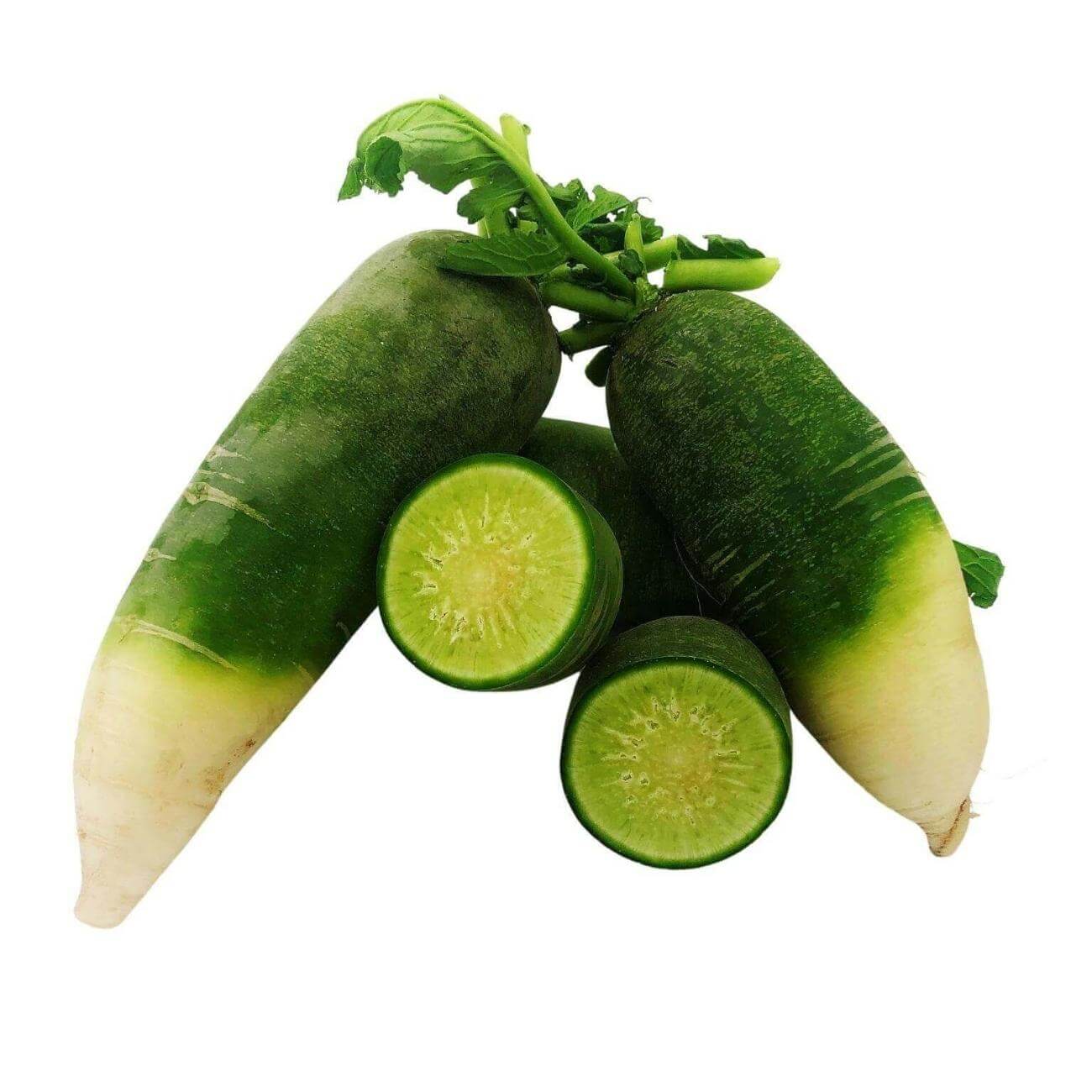 SHOP WHOLESALE GREEN DAIKON | Purvey'd