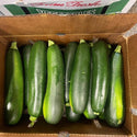 Wholesale GREEN SQUASH SMALL BOX VEGETABLES Bulk Produce Fresh Fruits and Vegetables