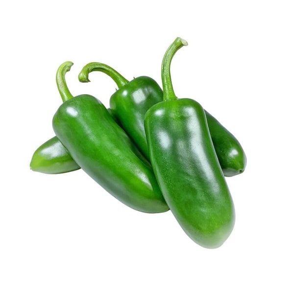 Wholesale JALAPENO (SAMPLE) Bulk Produce Fresh Fruits and Vegetables