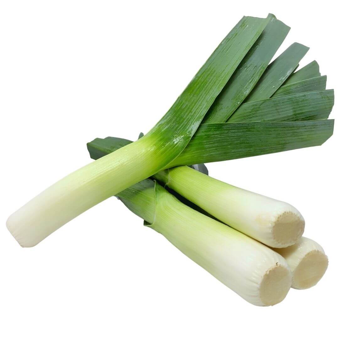 SHOP WHOLESALE LEEK | Purvey'd