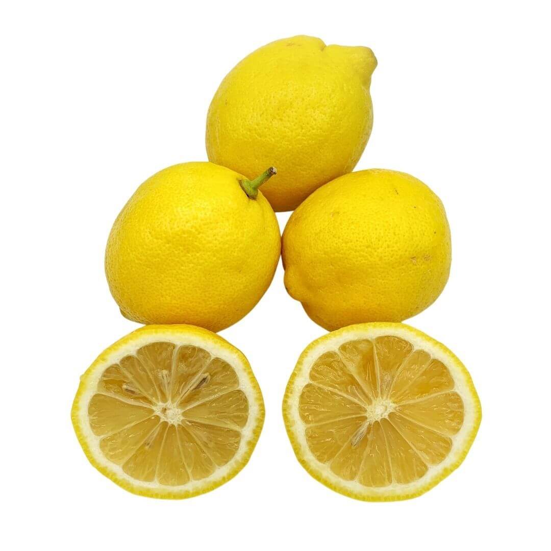 SHOP WHOLESALE LEMON #95 | Purvey'd