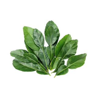 Wholesale LIME LEAF* Bulk Produce Fresh Fruits and Vegetables