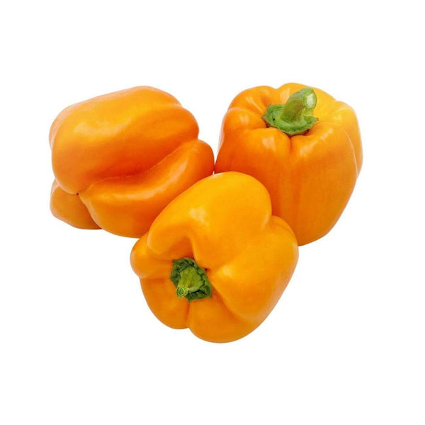 Wholesale ORANGE PEPPER* Bulk Produce Fresh Fruits and Vegetables
