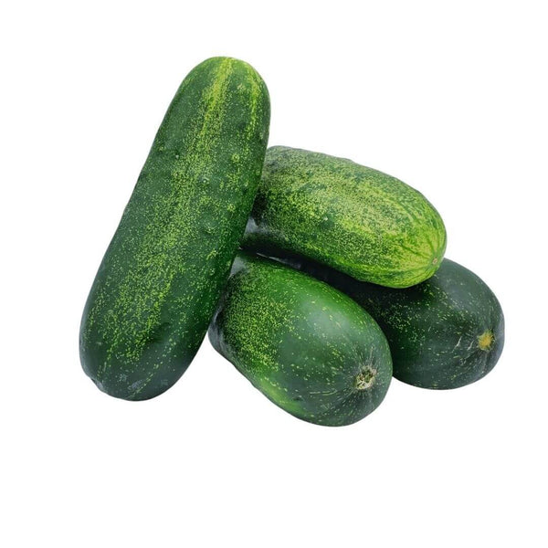 Wholesale PICKLE CUKE 4A Bulk Produce Fresh Fruits and Vegetables