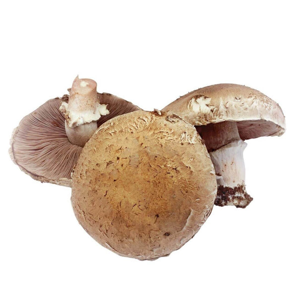 Wholesale PORTABELLA MUSHROOM* Bulk Produce Fresh Fruits and Vegetables