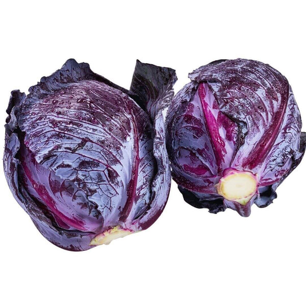Wholesale RED CABBAGE (SAMPLE) Bulk Produce Fresh Fruits and Vegetables