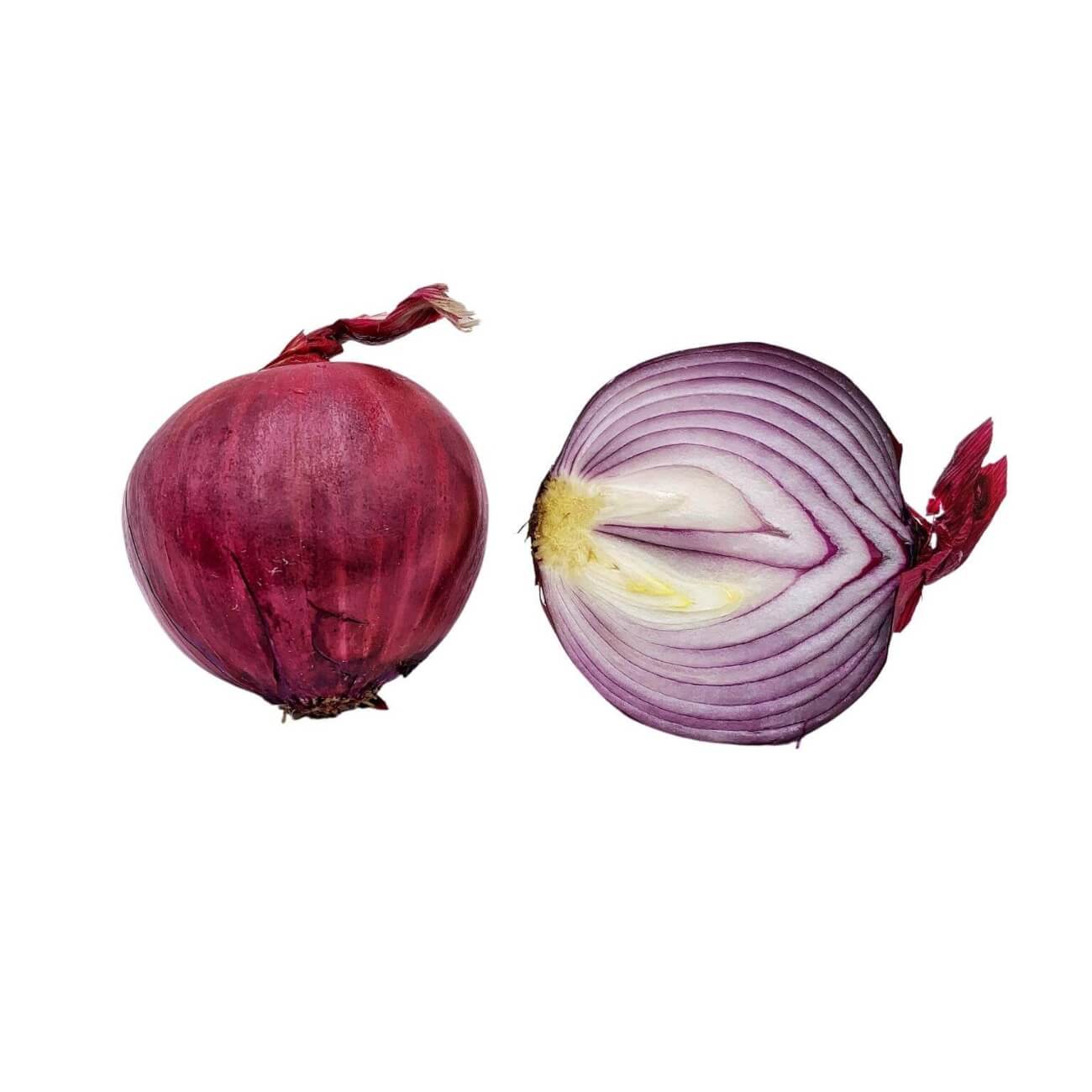 SHOP WHOLESALE RED ONION | Purvey'd