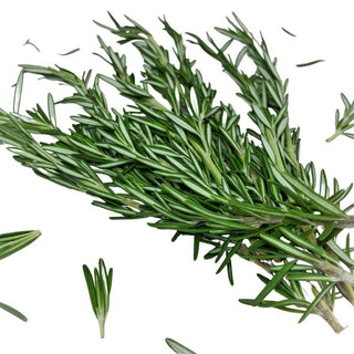 Wholesale ROSEMARY* Bulk Produce Fresh Fruits and Vegetables