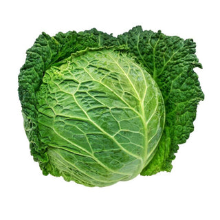Wholesale SAVOY CABBAGE* Bulk Produce Fresh Fruits and Vegetables
