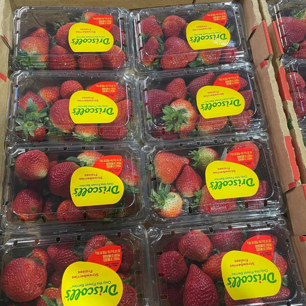 Wholesale STRAWBERRY Bulk Produce Fresh Fruits and Vegetables
