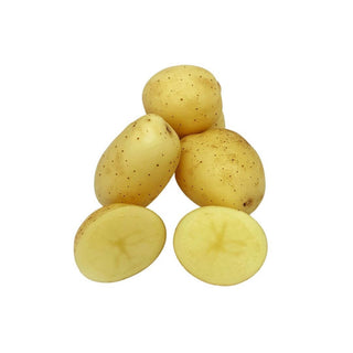 Wholesale WHITE POTATO (B)* Bulk Produce Fresh Fruits and Vegetables