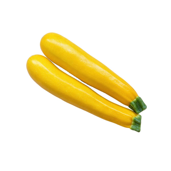 Wholesale YELLOW SQUASH* Bulk Produce Fresh Fruits and Vegetables