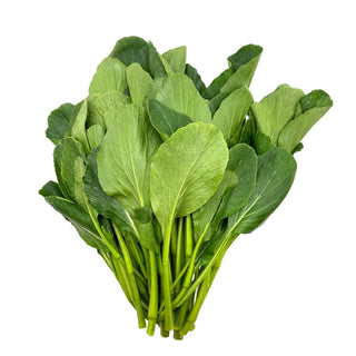 Wholesale YU CHOY TIPS Bulk Produce Fresh Fruits and Vegetables