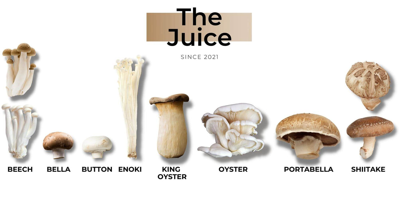 Eight Most Common Mushroom Varieties