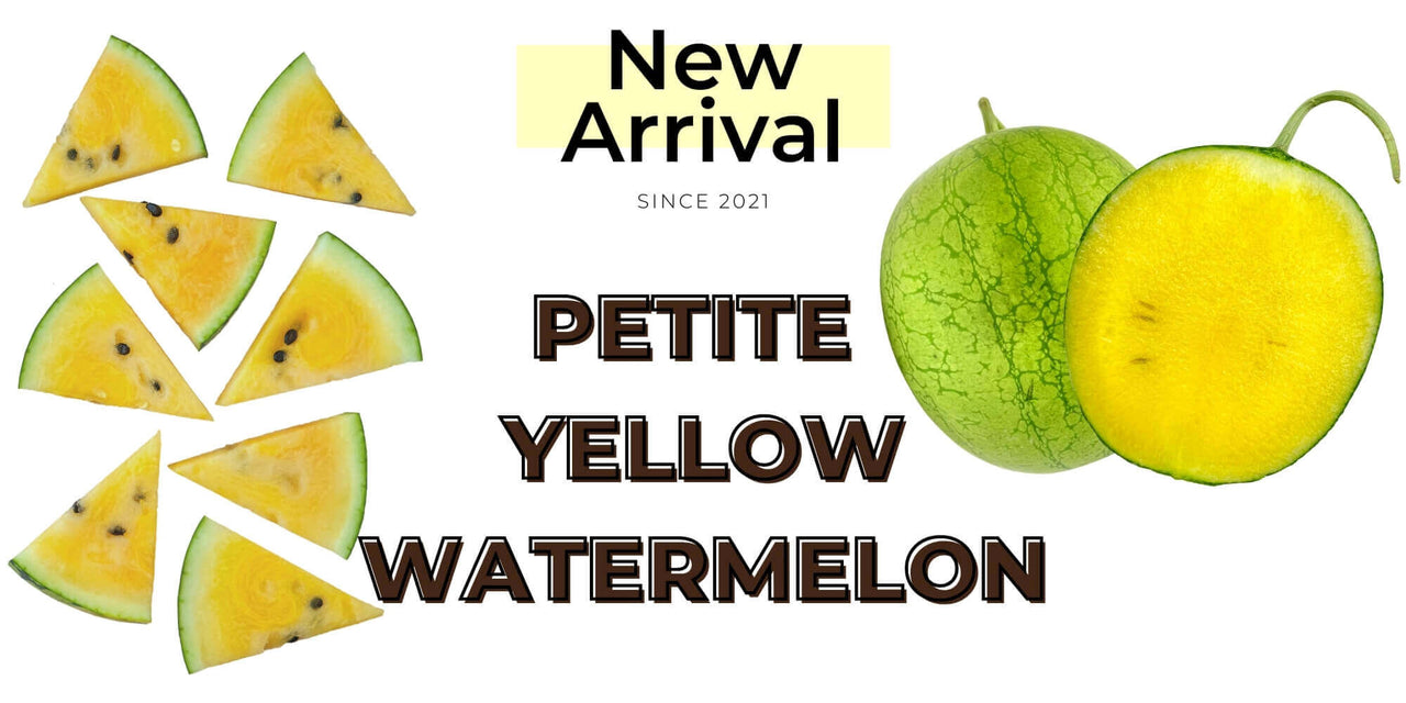 Purvey'd New Arrival - Petite Yellow Watermelon