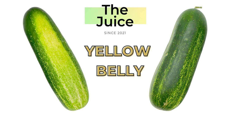Purvey'd The Juice - Yellow Belly