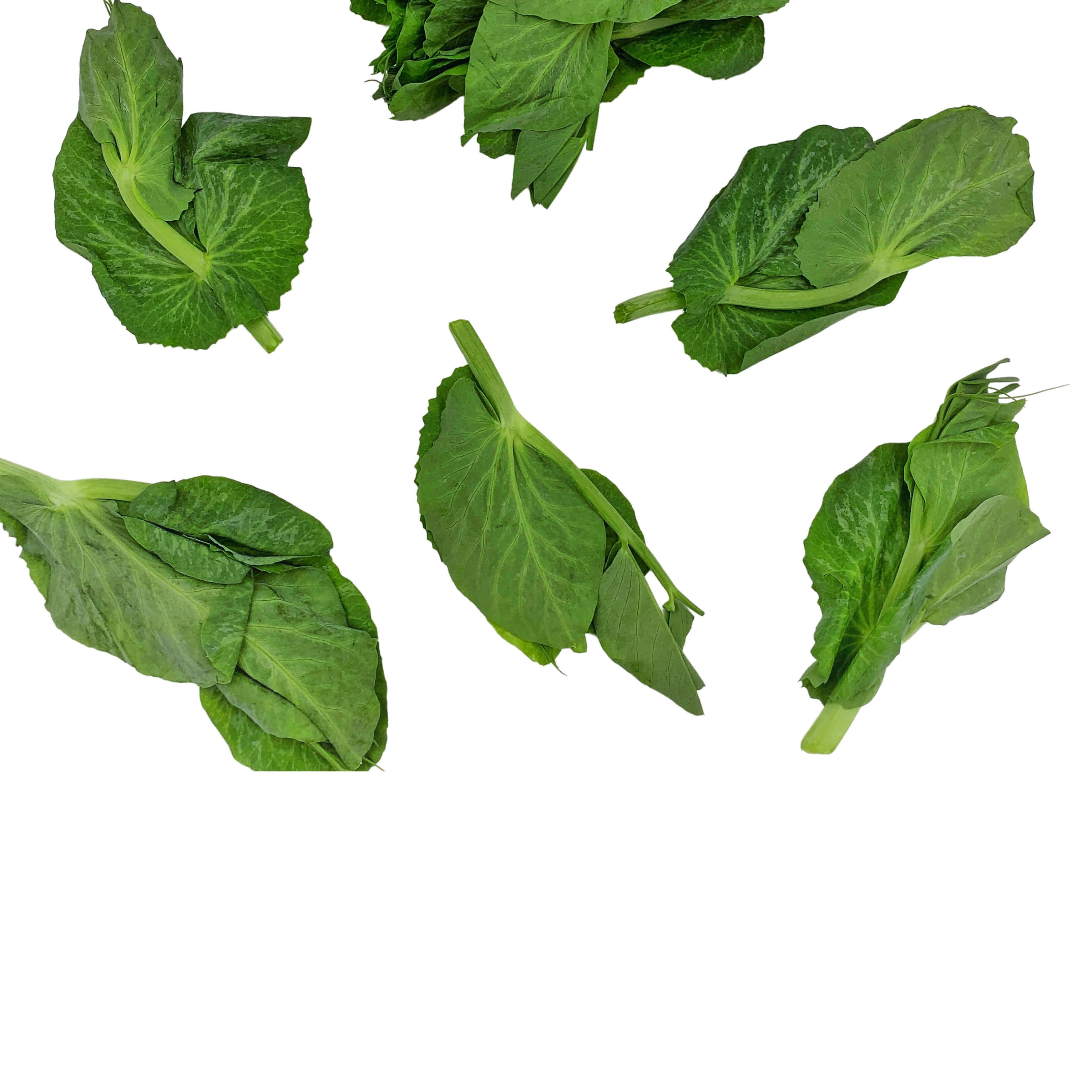 Fresh, High Quality Vegetables