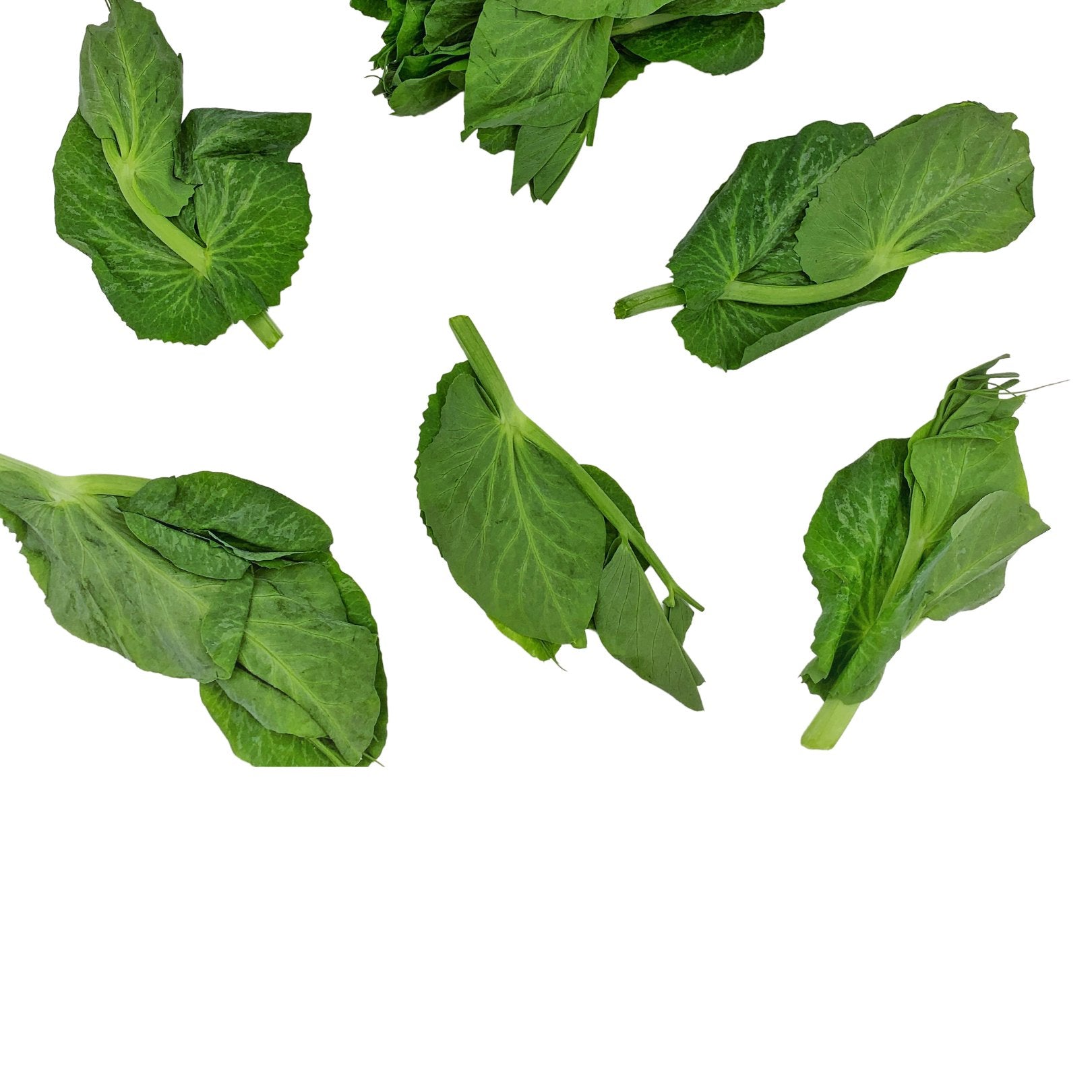 VEGETABLES