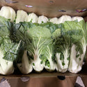 Wholesale BOK CHOY RED BOX Bulk Produce Fresh Fruits and Vegetables