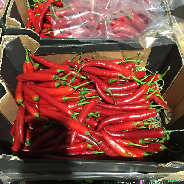 Wholesale FINGER HOT PEPPER Bulk Produce Fresh Fruits and Vegetables