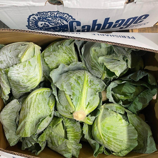 Wholesale GREEN CABBAGE BOX BLUE Bulk Produce Fresh Fruits and Vegetables