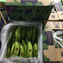 GREEN PLANTAIN