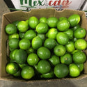 Wholesale LIME 175 MEXICAN Bulk Produce Fresh Fruits and Vegetables