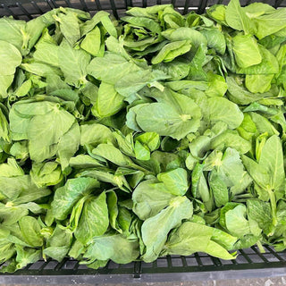SNOWPEA TIPS (PREORDER)