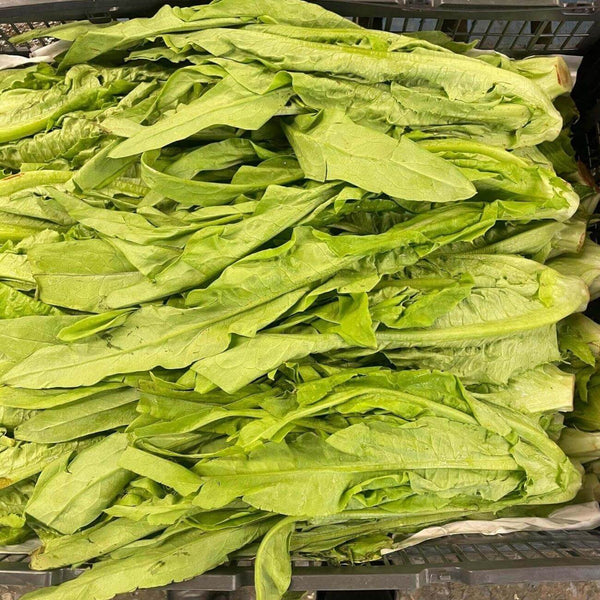 Wholesale AA CHOY Bulk Produce Fresh Fruits and Vegetables