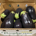 Wholesale AMERICAN EGGPLANT BUZBY FARM Bulk Produce Fresh Fruits and Vegetables