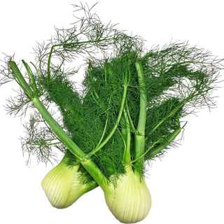 Wholesale ANISE (FENNEL)* Bulk Produce Fresh Fruits and Vegetables