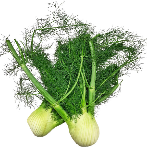 Wholesale ANISE (FENNEL)* Bulk Produce Fresh Fruits and Vegetables