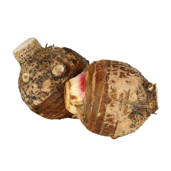 Arrow Root Fresh SHOP WHOLESALE ARROWROOT | Purvey'd