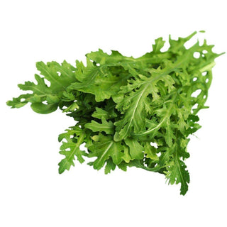 Wholesale ARUGULA* Bulk Produce Fresh Fruits and Vegetables