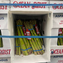 Wholesale ASPARAGUS SMALL BOX OCEAN MIST Bulk Produce Fresh Fruits and Vegetables