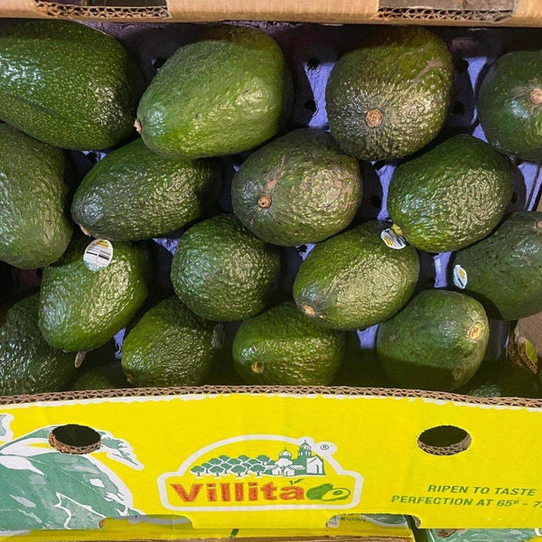 Wholesale AVOCADO #40 VILLITA Bulk Produce Fresh Fruits and Vegetables