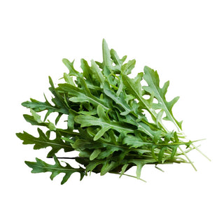 Wholesale BABY ARUGULA* Bulk Produce Fresh Fruits and Vegetables