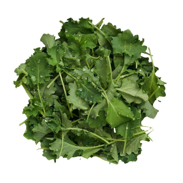 Wholesale BABY KALE* Bulk Produce Fresh Fruits and Vegetables