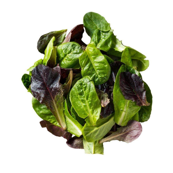 Wholesale BABY ROMAINE* Bulk Produce Fresh Fruits and Vegetables