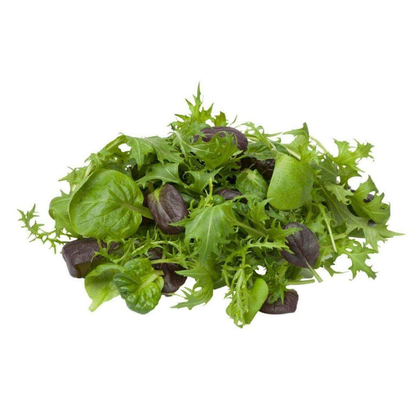 Wholesale BABY SWEET LETTUCE* Bulk Produce Fresh Fruits and Vegetables